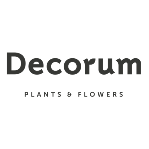 Decorum logo grey