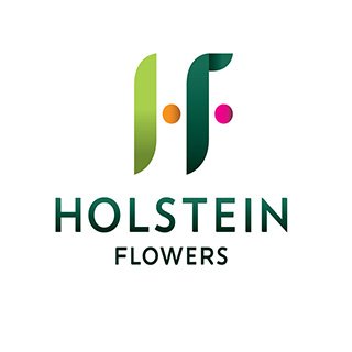Holstein Flowers